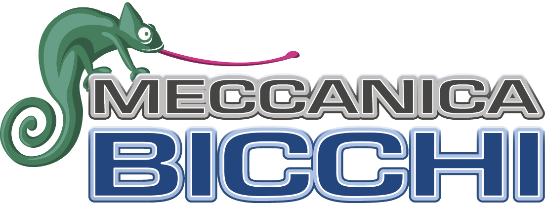 Meccanica_Bicchi
